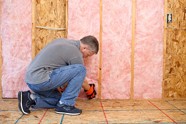 Best Insulation Replacement Services  in Maple Heights, OH